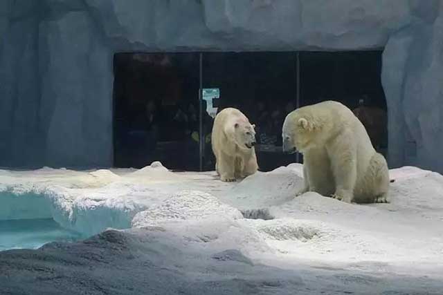 珠海长隆旅游攻略