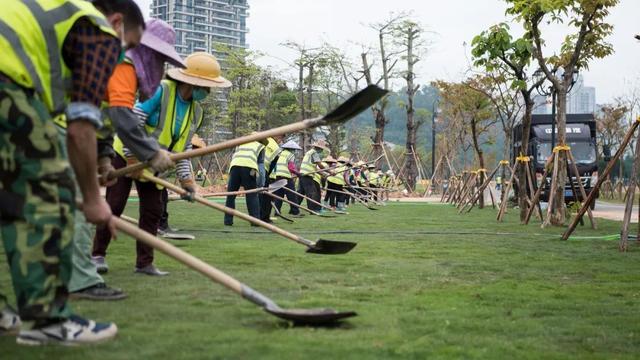 珠海最大海景草坪