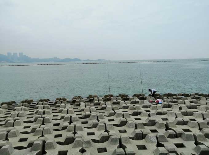 珠海野狸岛海钓