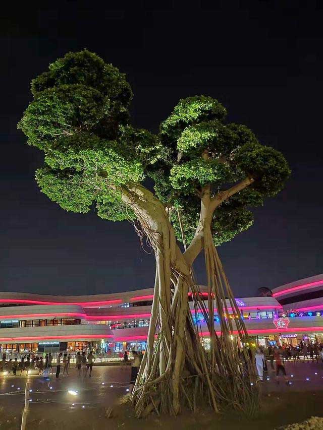 珠海新地标日月贝