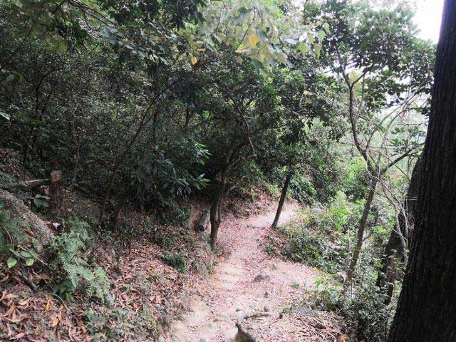 圆明新园登山好路线，看看怎么走？