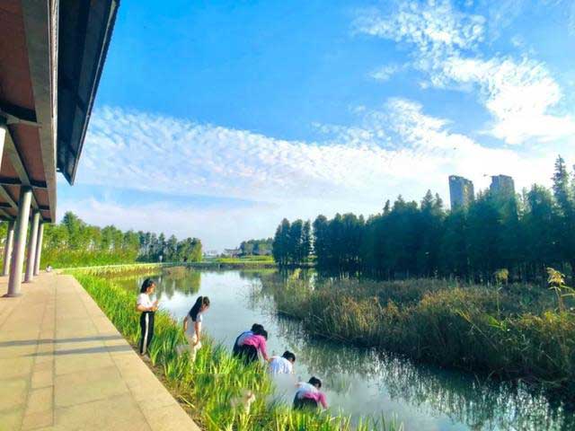 珠海又增一处湿地公园！景美人少，现在去刚刚刚好