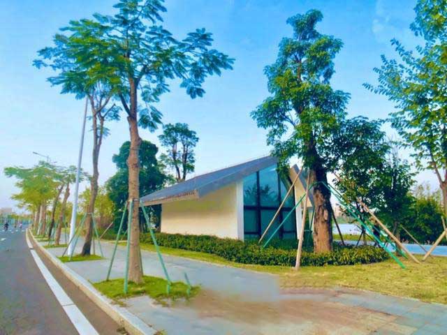 珠海又增一处湿地公园！景美人少，现在去刚刚刚好