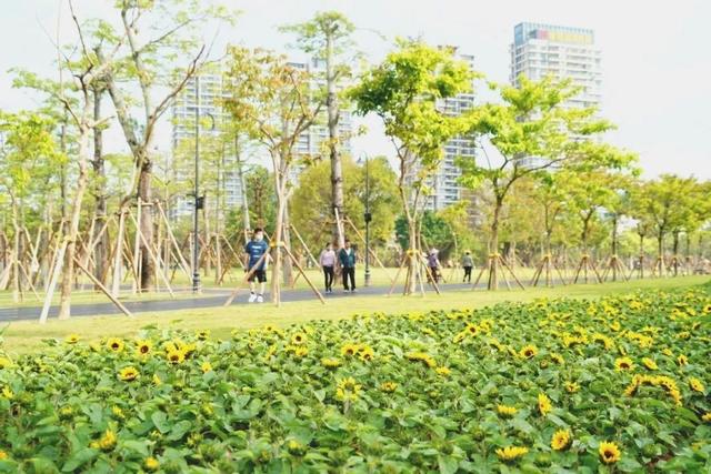 珠海市中心公园