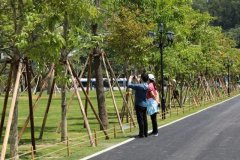珠海市中心这一公园，将新增落差30米的瀑布！