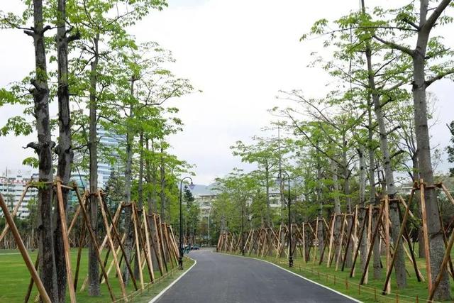 珠海市中心公园