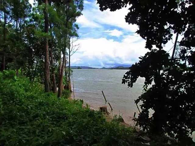 珠海9大美丽湿地公园 