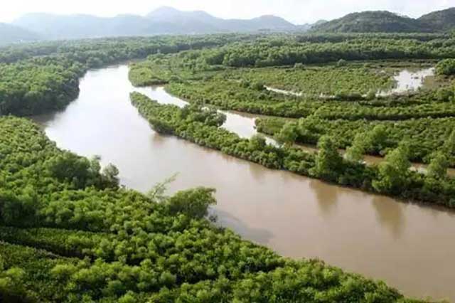 珠海9大美丽湿地公园 