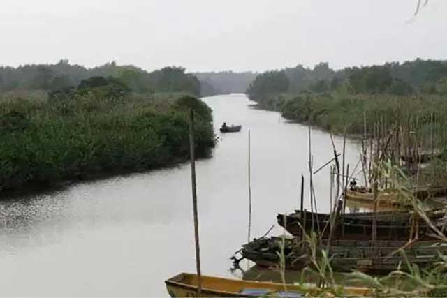 珠海9大美丽湿地公园 