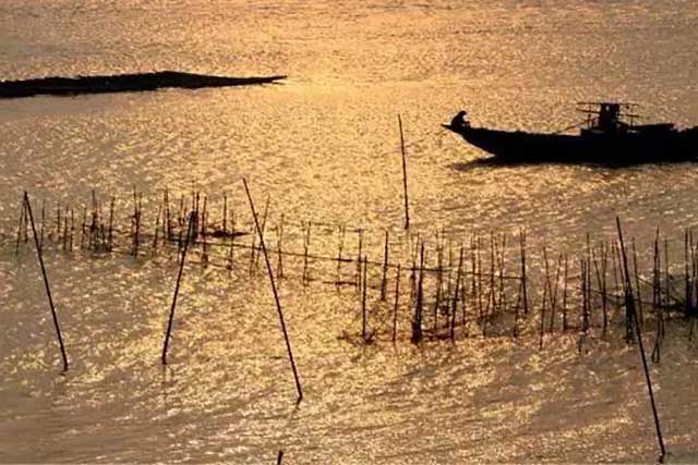 珠海9大美丽湿地公园 