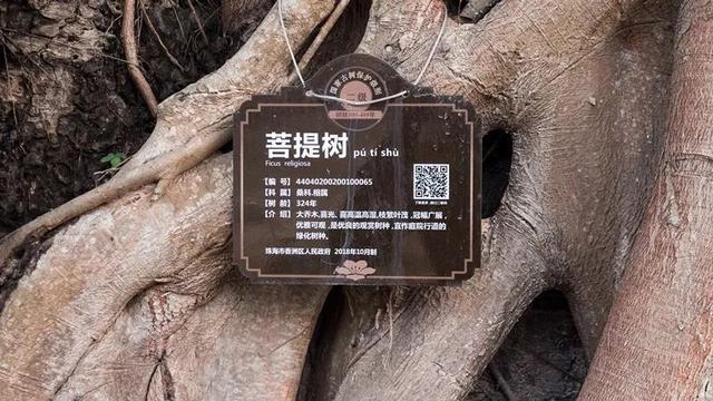 珠海海天公园